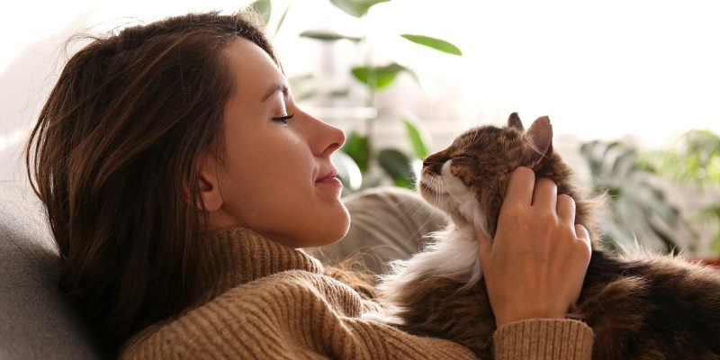 How Can Cats Reduce Stress and Improve Moods?