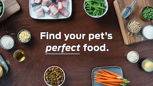 Find Your Pet's Perfect food